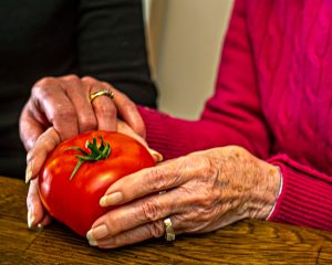 Ageism and Ableism Combat the Devastating Effects of Ageism and Ableism