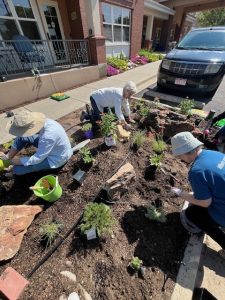 Participating in Clermont Park's Xeriscape Project