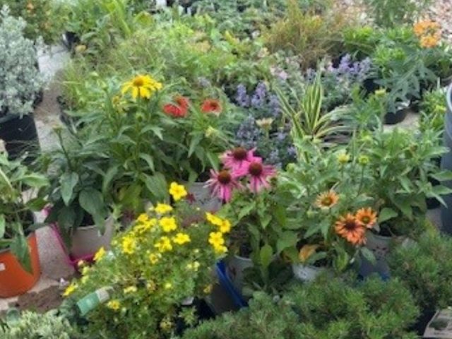 Good Stewards: How Supporters Like You Helped Clermont Park Grow Green and Waste Less