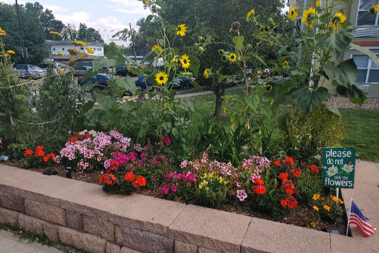 Dayspring Villa garden renovation