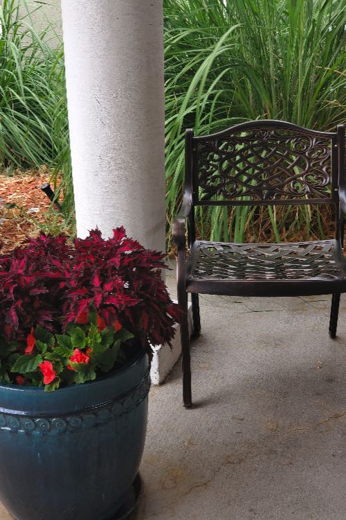 Dayspring Villa patio