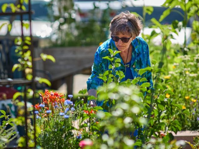 Generosity & Citizenship Make Garden Renovation Possible at Dayspring Villa