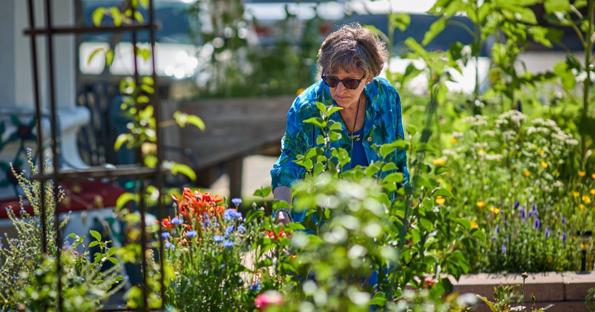 Dayspring Villa resident gardening