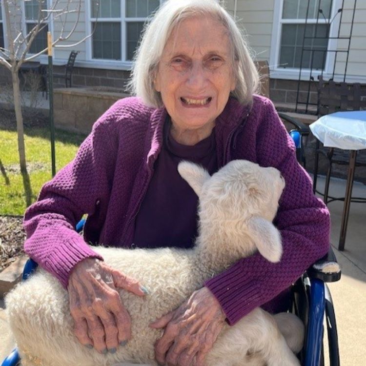 ellie's little farm holly creek